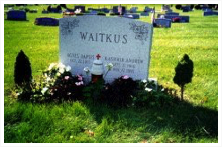 Waitkus 1997 Waitkus 1997